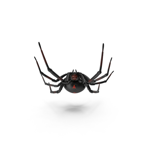 Black Widow PNG & PSD Images