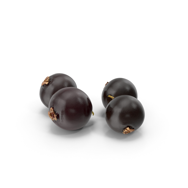 Currant: Blackcurrant Individual PNG & PSD Images Currant: Blackcurrant Individual PNG & PSD Images