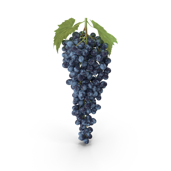 Blue Sultana Grape Cluster PNG & PSD Images Blue Sultana Grape Cluster PNG & PSD Images