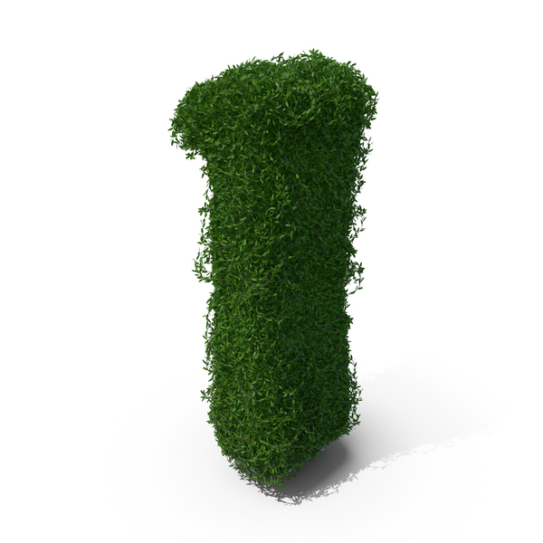 Boxwood Number One PNG & PSD Images Boxwood Number One PNG & PSD Images