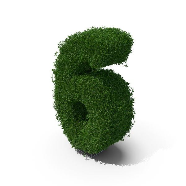 Boxwood Number Six PNG & PSD Images Boxwood Number Six PNG & PSD Images