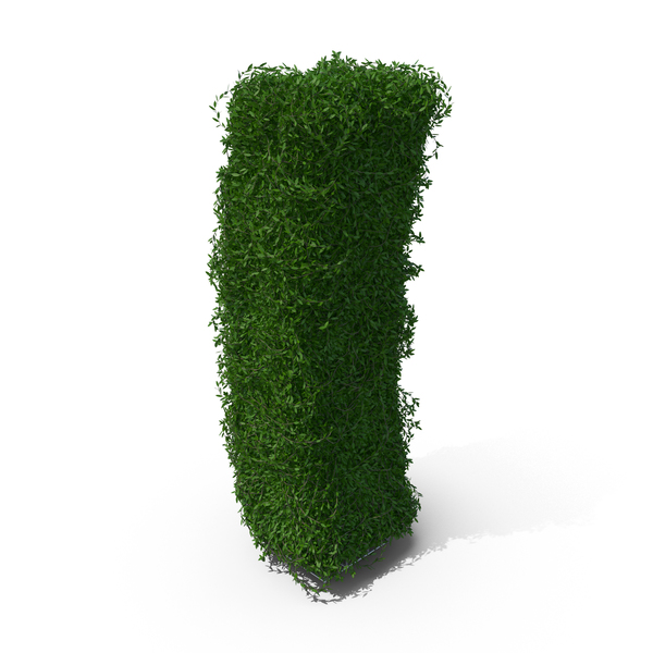 Topiary: Boxwood Symbol I PNG & PSD Images Topiary: Boxwood Symbol I PNG & PSD Images