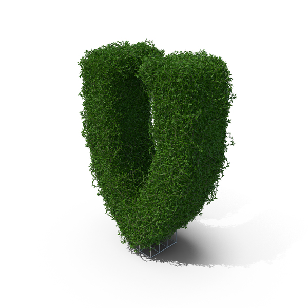 Topiary: Boxwood Symbol V PNG & PSD Images