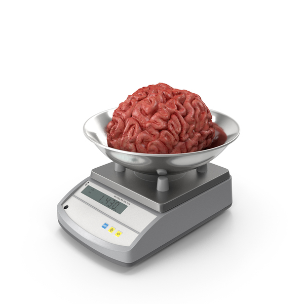 Brain On Scales PNG & PSD Images Brain On Scales PNG & PSD Images