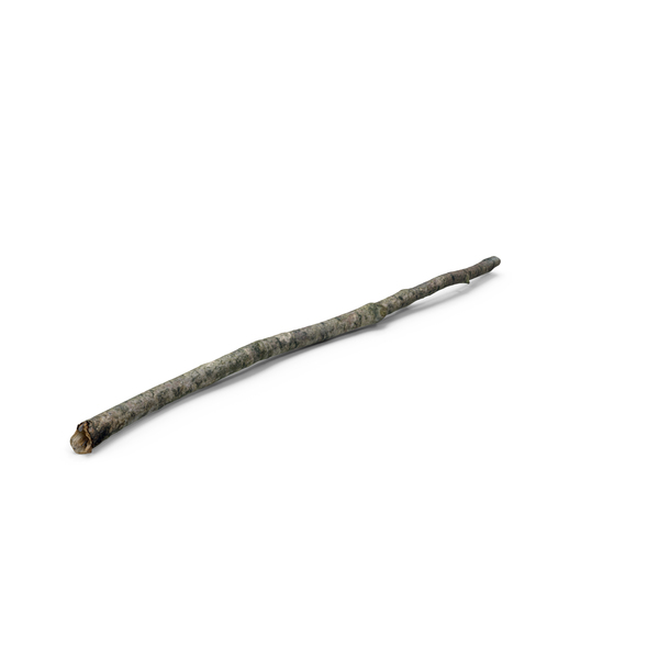 Twig: Branch 02 3 PNG & PSD Images