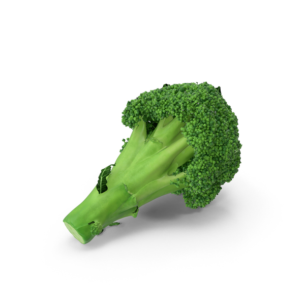 Broccoli PNG & PSD Images