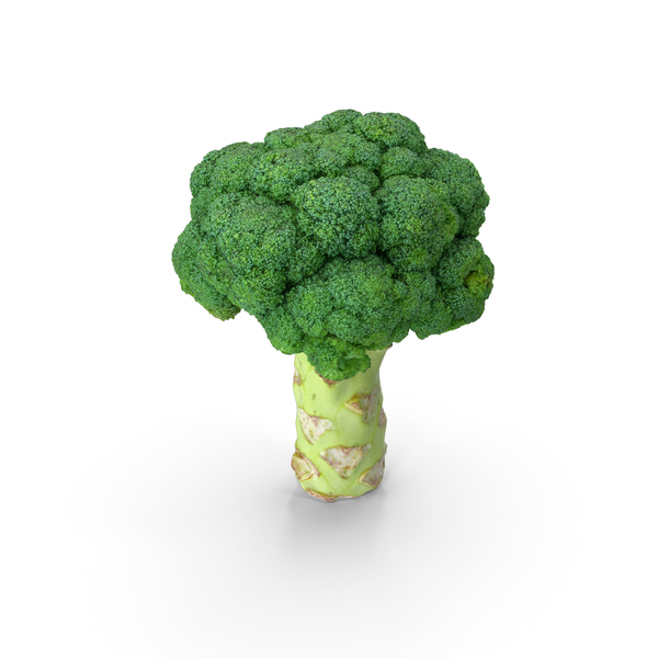 Broccoli PNG & PSD Images Broccoli PNG & PSD Images