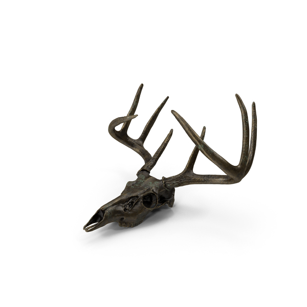 Bronze Deer Skull PNG & PSD Images Bronze Deer Skull PNG & PSD Images