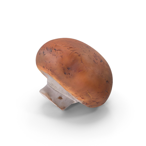 Button: Brown Champignon Mushroom PNG & PSD Images Button: Brown Champignon Mushroom PNG & PSD Images