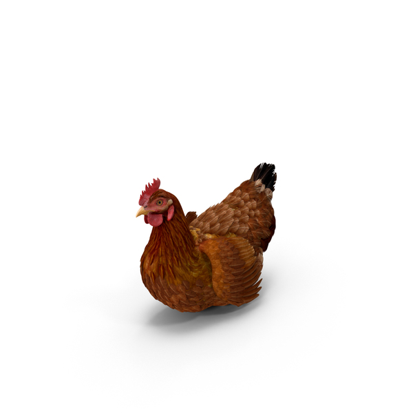 Brown Chicken PNG & PSD Images Brown Chicken PNG & PSD Images