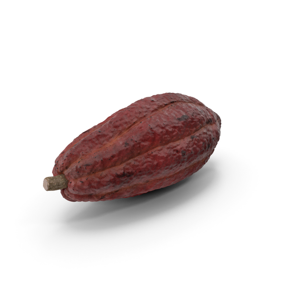 Bean: Brown Cocoa Fruit PNG & PSD Images Bean: Brown Cocoa Fruit PNG & PSD Images