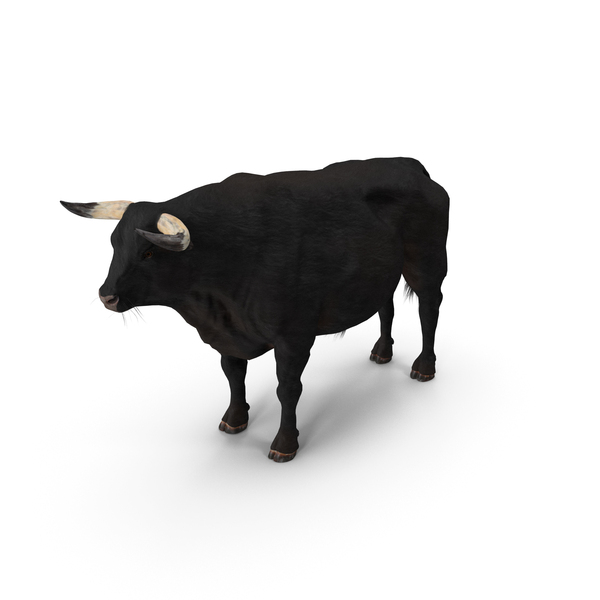 Bull PNG & PSD Images Bull PNG & PSD Images