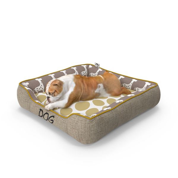 Bulldog Sleep in Pet Bed PNG & PSD Images Bulldog Sleep in Pet Bed PNG & PSD Images