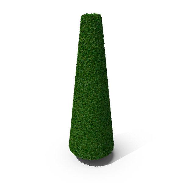 Bush: Bushes Cylinder PNG & PSD Images Bush: Bushes Cylinder PNG & PSD Images
