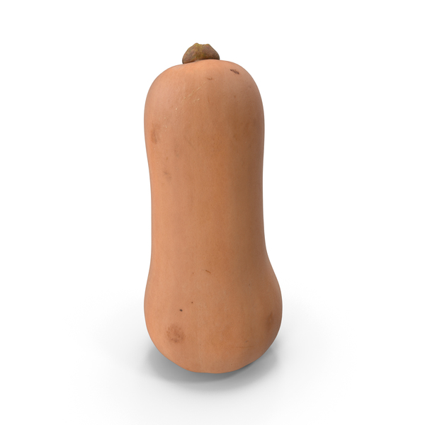 Vegetable: Butternut Squash PNG & PSD Images Vegetable: Butternut Squash PNG & PSD Images