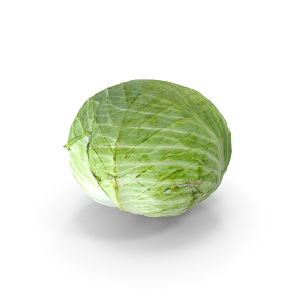 Cabbage PNG & PSD Images Cabbage PNG & PSD Images