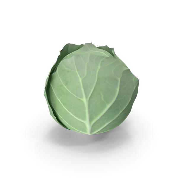 Cabbage PNG & PSD Images Cabbage PNG & PSD Images
