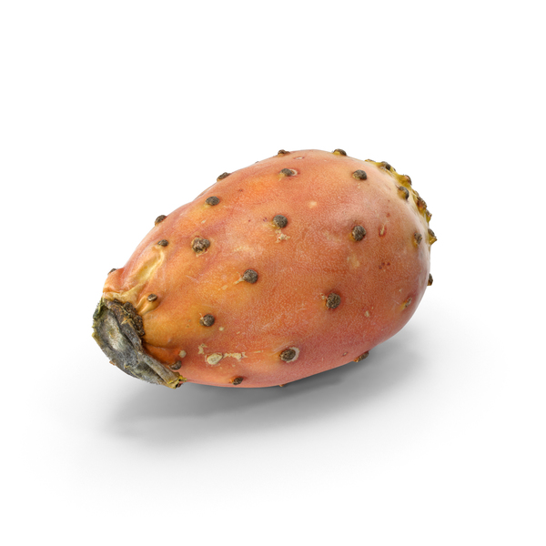 Cactus Fig PNG & PSD Images Cactus Fig PNG & PSD Images