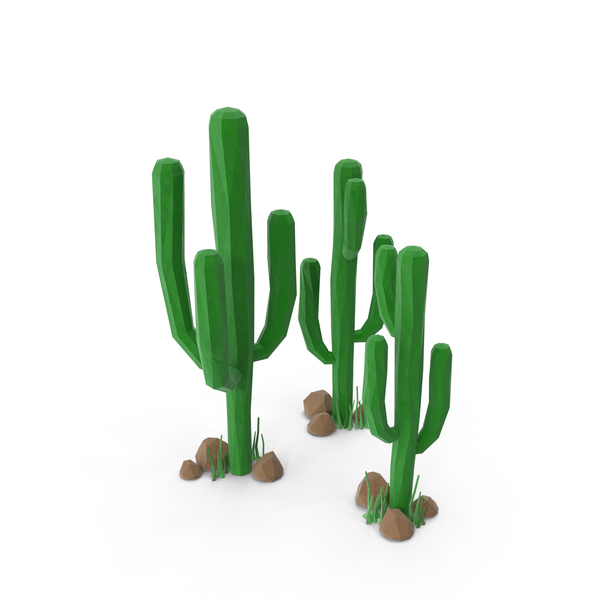 Desert: Cactus Group with Rocks PNG & PSD Images