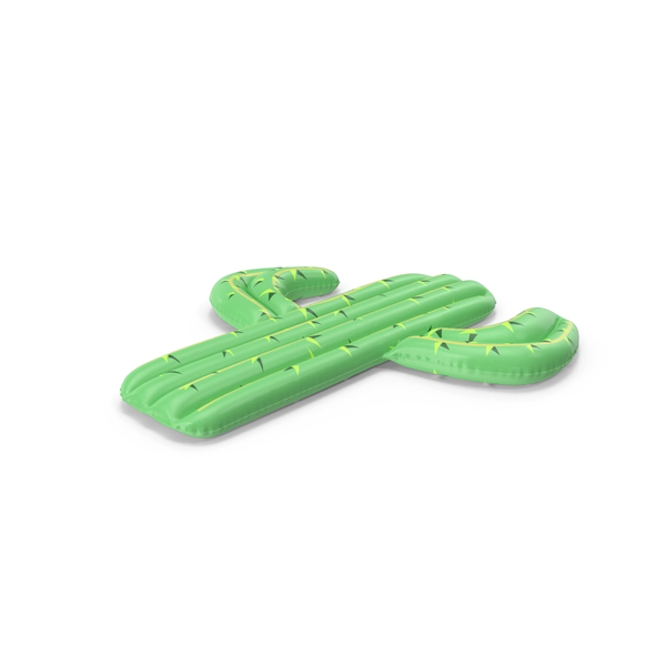 cactus pool float