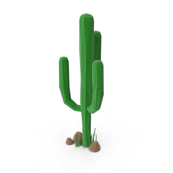 Desert: Cactus with Rocks PNG & PSD Images