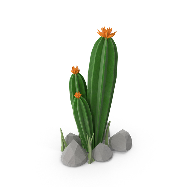 Desert: Cactus with Rocks PNG & PSD Images