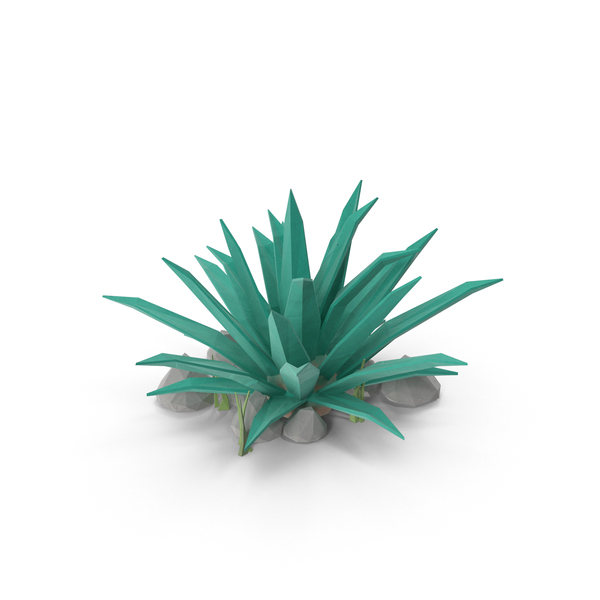 Desert: Cactus with Rocks PNG & PSD Images Desert: Cactus with Rocks PNG & PSD Images