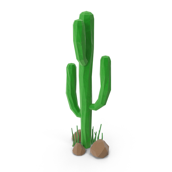 Desert: Cactus with Rocks PNG & PSD Images Desert: Cactus with Rocks PNG & PSD Images