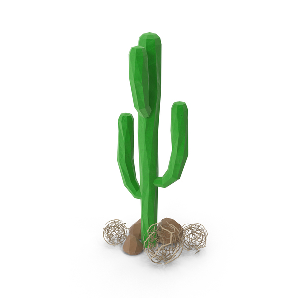Cactus with Rocks PNG & PSD Images Cactus with Rocks PNG & PSD Images