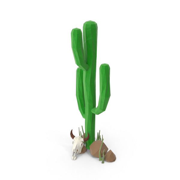 Desert: Cactus with Skull and Rocks PNG & PSD Images