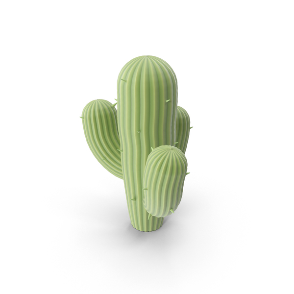Cactus PNG & PSD Images Cactus PNG & PSD Images