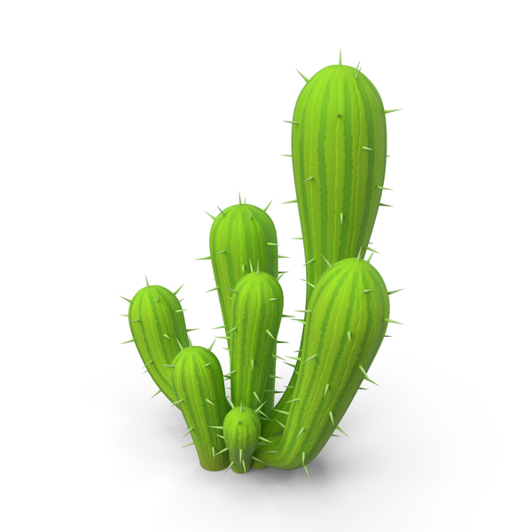 Cactus PNG Images & PSDs for Download | PixelSquid - S118769019