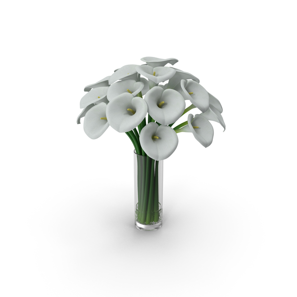 Calla Lilies PNG & PSD Images Calla Lilies PNG & PSD Images