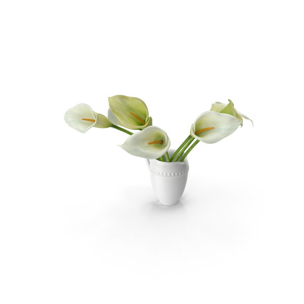 Calla Lily Flower Pottery PNG & PSD Images