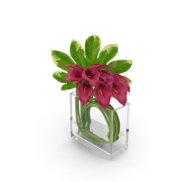 Calla Lily Glass Vase PNG & PSD Images Calla Lily Glass Vase PNG & PSD Images