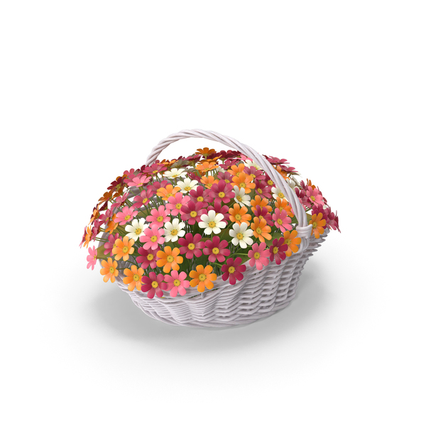 Camomile Bouquet in Basket PNG & PSD Images Camomile Bouquet in Basket PNG & PSD Images