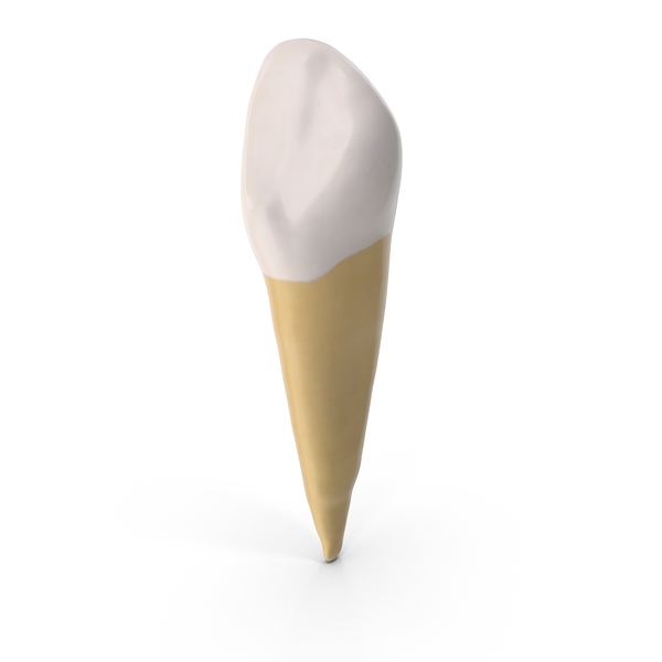 01 Clean Tooth: Canine Lower Jaw PNG & PSD Images 01 Clean Tooth: Canine Lower Jaw PNG & PSD Images