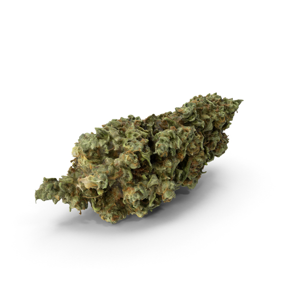 Download Cannabis Bud PNG Images & PSDs for Download | PixelSquid - S111686873