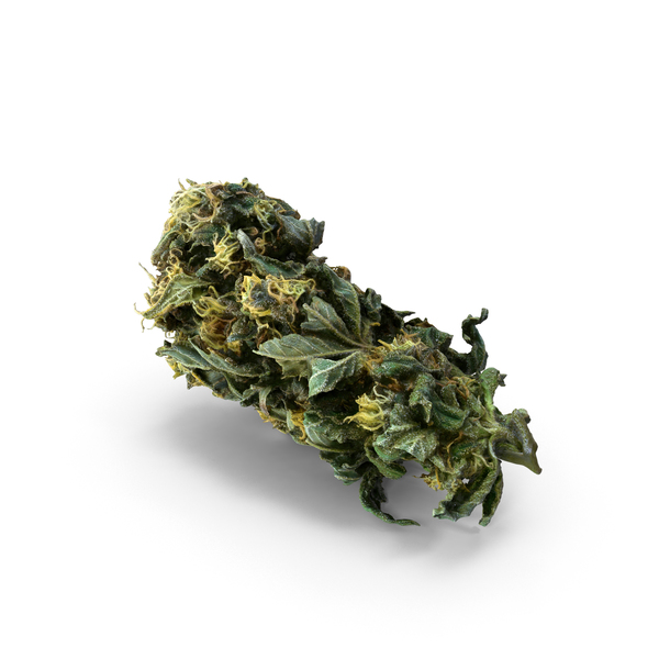 大麻：大麻PNG和PSD图像