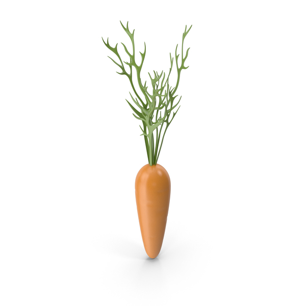 Cartoon Carrot PNG & PSD Images Cartoon Carrot PNG & PSD Images