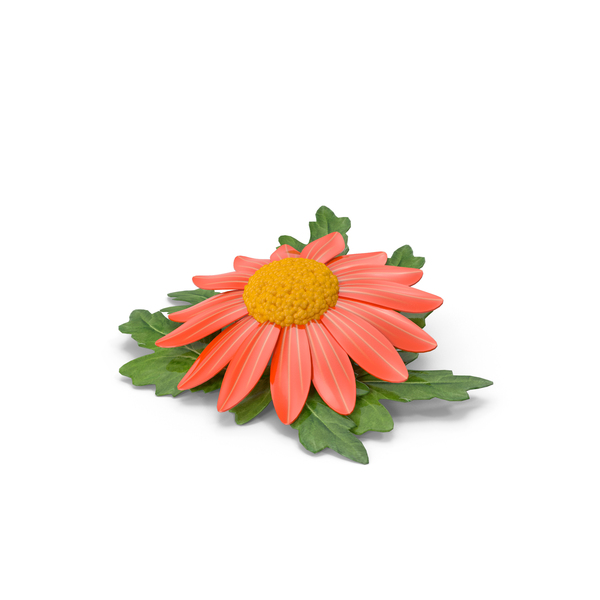 Flower: Cartoon Daisy Red PNG & PSD Images Flower: Cartoon Daisy Red PNG & PSD Images