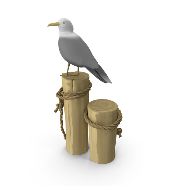 Bird: Cartoon Seagull PNG & PSD Images Bird: Cartoon Seagull PNG & PSD Images