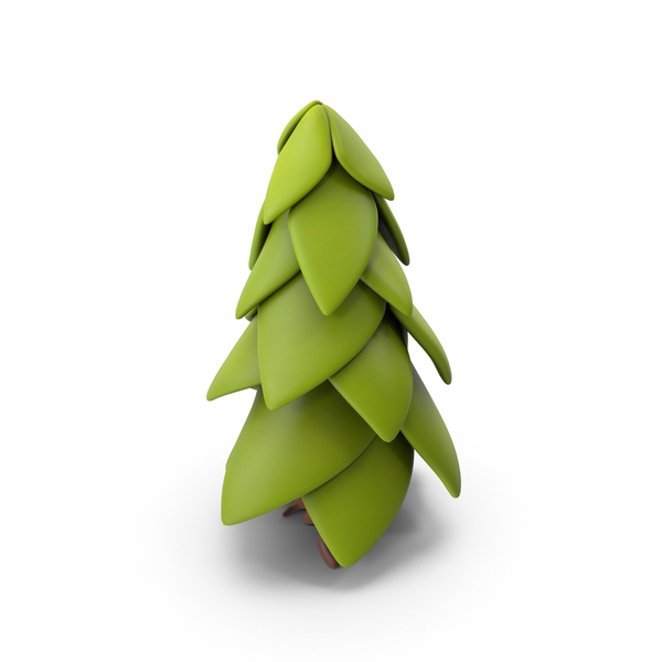 Cartoon Spruce PNG & PSD Images