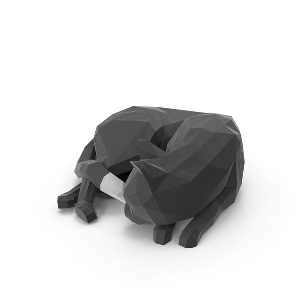Cat PNG & PSD Images Cat PNG & PSD Images