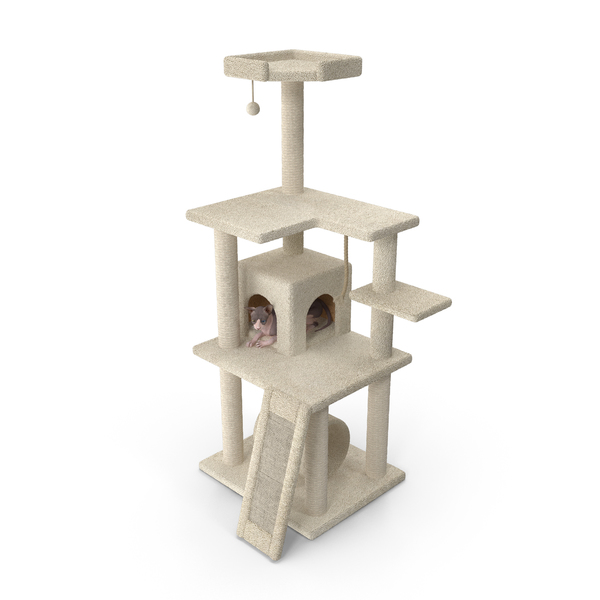 Cat Tree 5-Level with Cat PNG & PSD Images