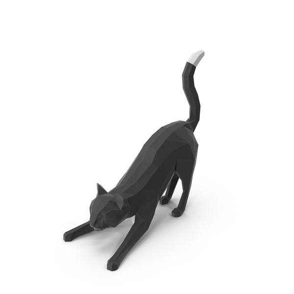 Cat PNG & PSD Images Cat PNG & PSD Images