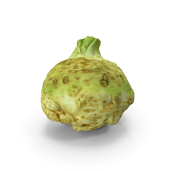 Celery Scan PNG & PSD Images Celery Scan PNG & PSD Images