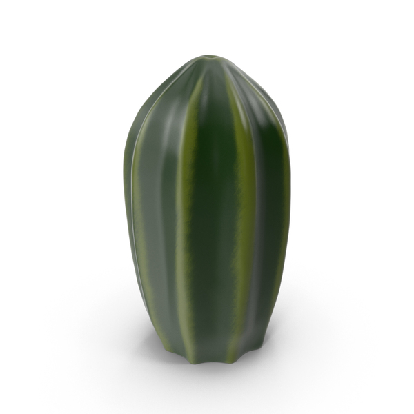 Home: Ceramic cactus decor PNG & PSD Images Home: Ceramic cactus decor PNG & PSD Images