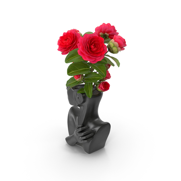 Modern: Ceramics Bust Vase Black with Camellia PNG & PSD Images