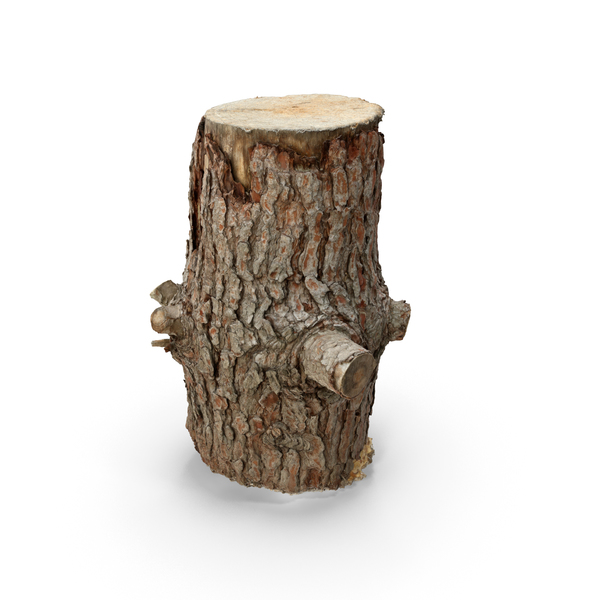 Tree Stump: Chopping Block PNG & PSD Images Tree Stump: Chopping Block PNG & PSD Images